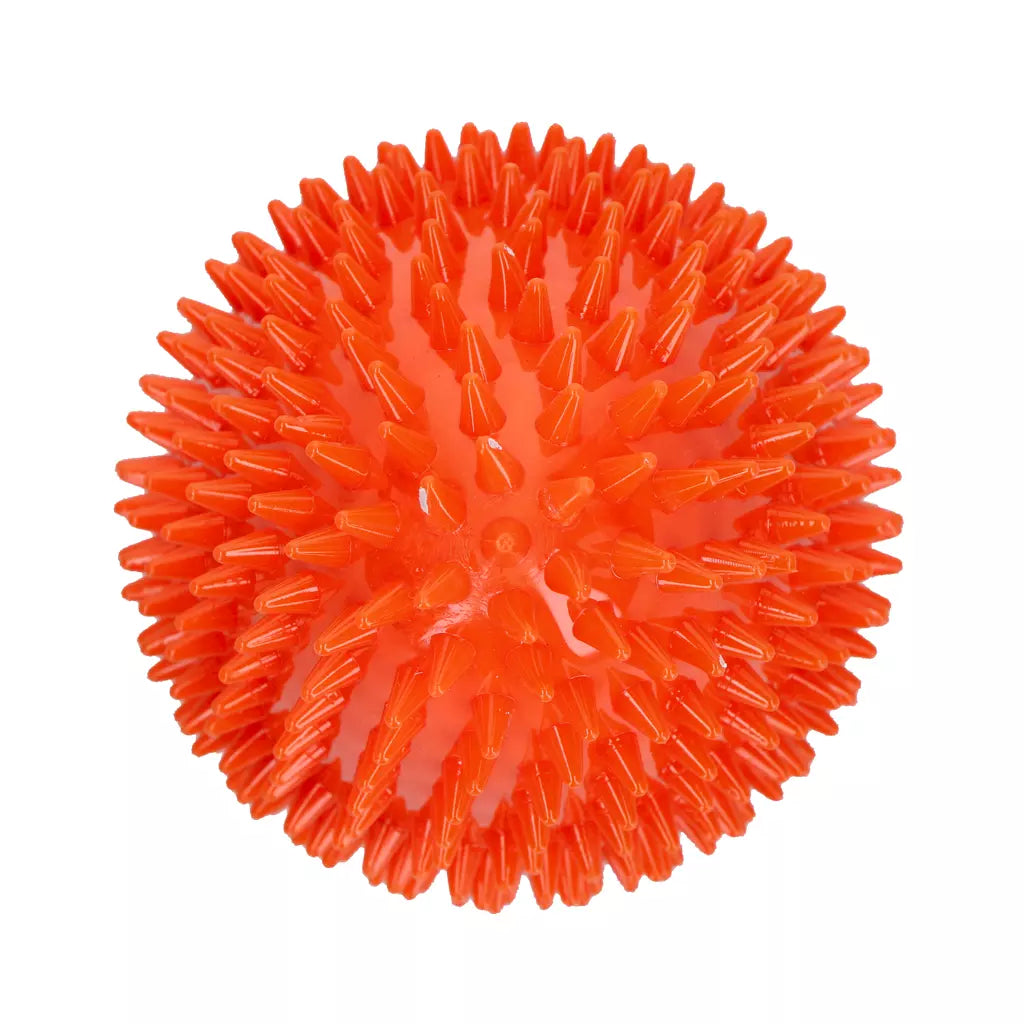 Dog Comets Cosmic Egg Oranje