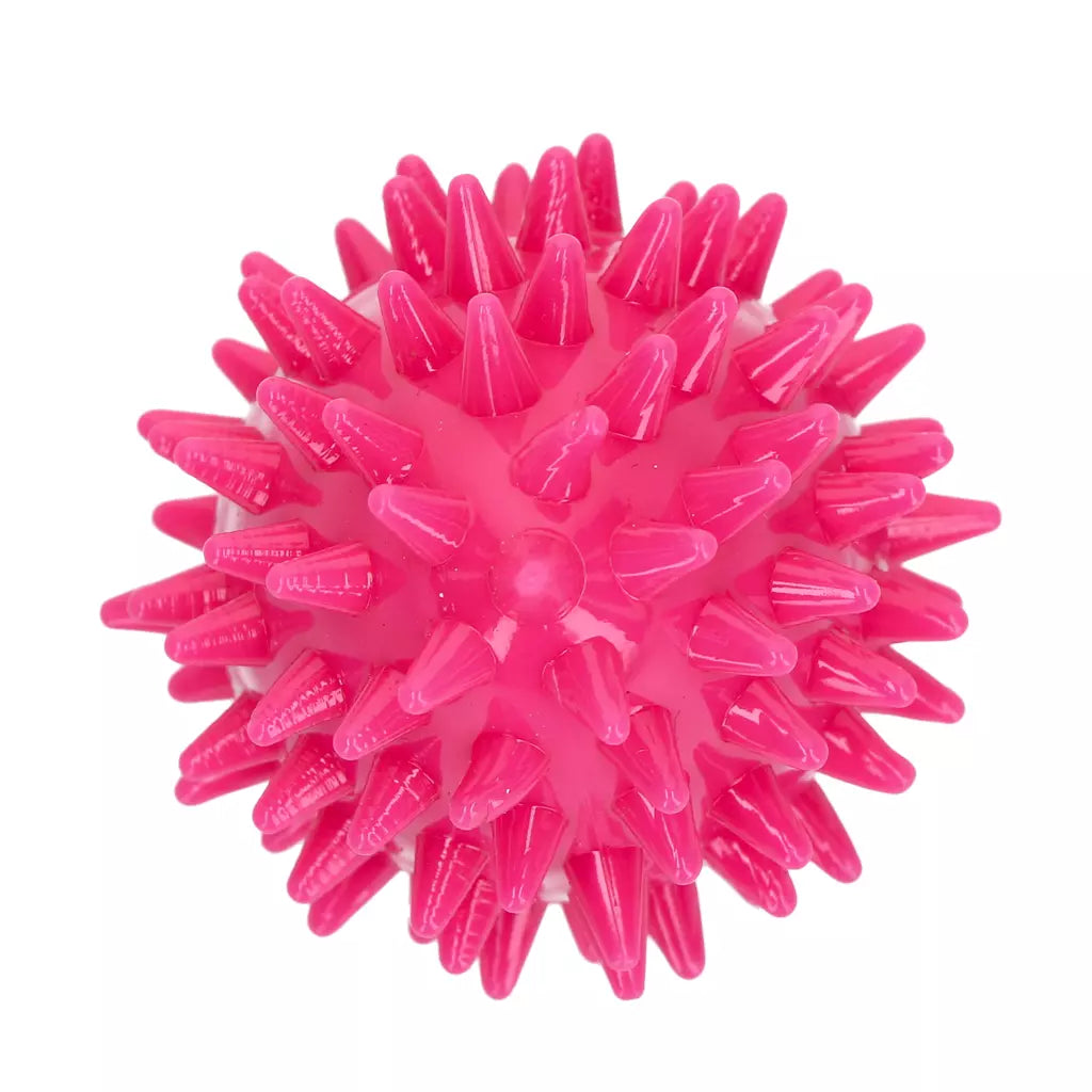 Dog Comets Cosmic Egg Roze