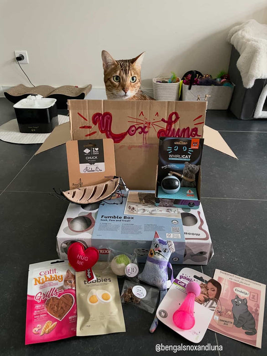 Binnenkattenbox januari - los