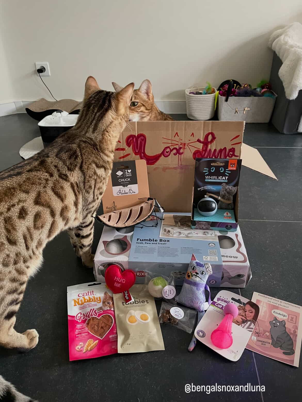 Binnenkattenbox januari - los