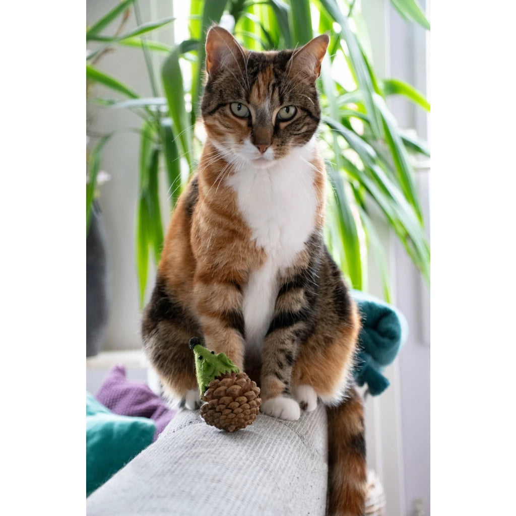 Forest Friends (groen