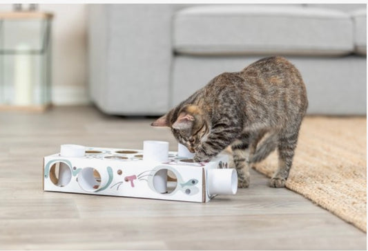 Cat Activity Paws'n'Treats Box