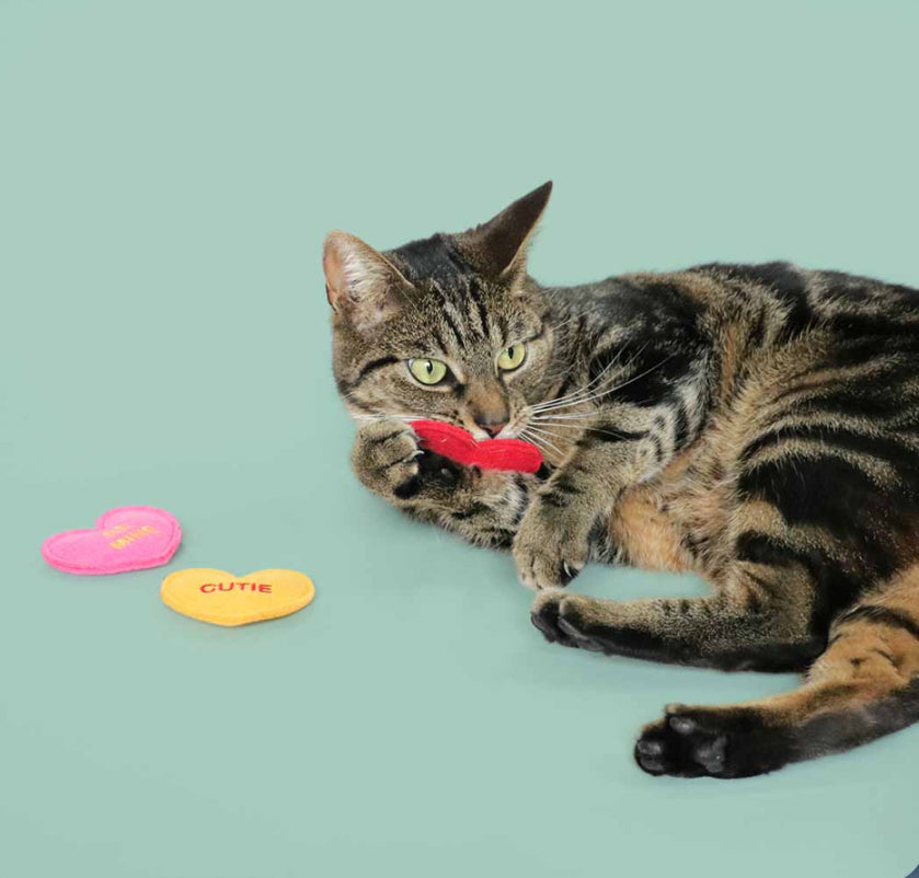 Vilten hartje met valeriaan HEARTFELT