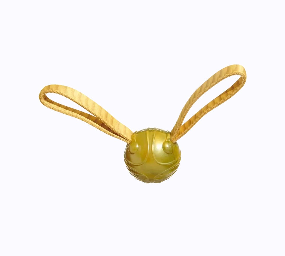 Harry Potter Gouden Snaai (S)