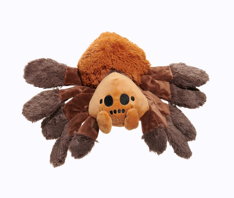 Harry Potter Aragog