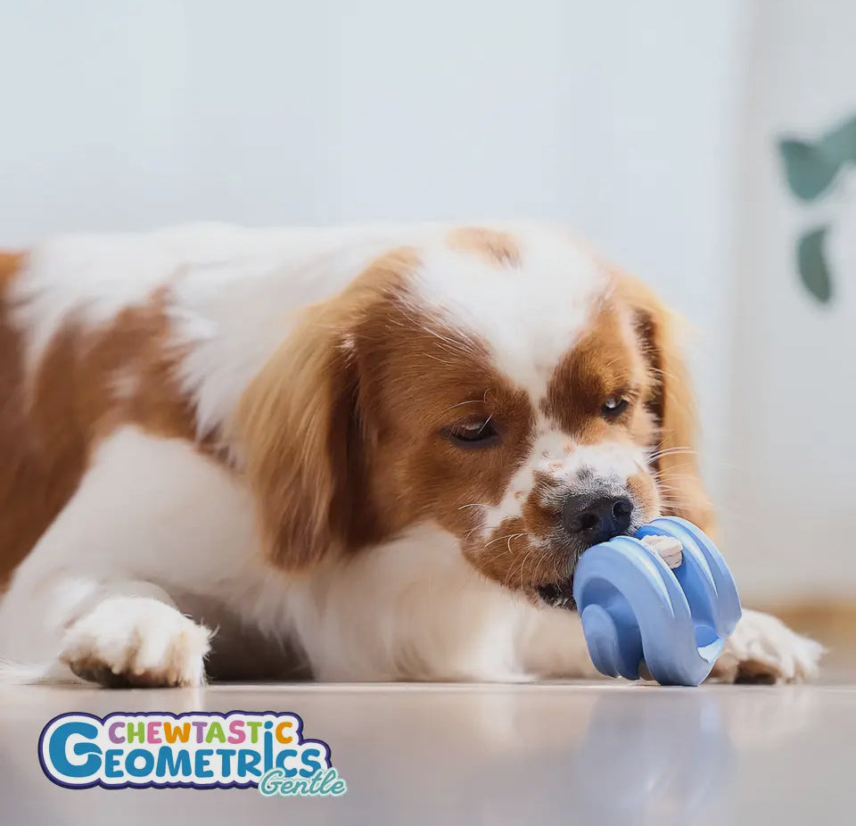 Chewtastic Geometrics Gentle Natuurlijk Rubber Geo-Hex Pastelblauw