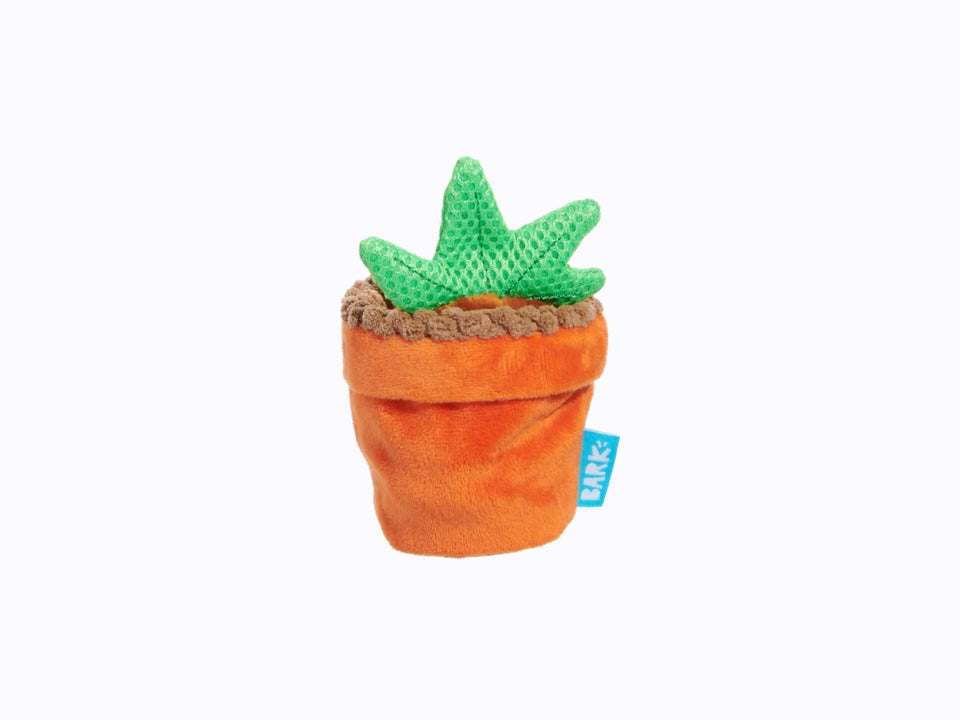 Harry Potter Mandragora (XS-S)