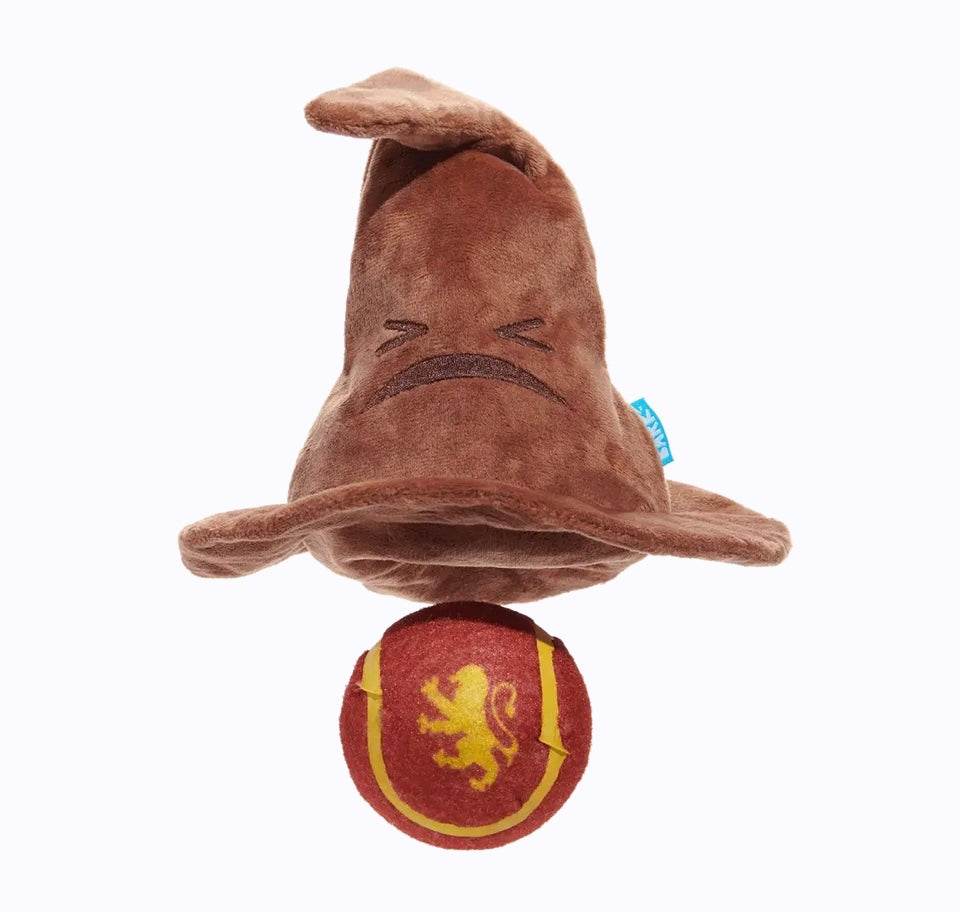 Harry Potter Sorteerhoed met 1 verrassingsbal(M-L)