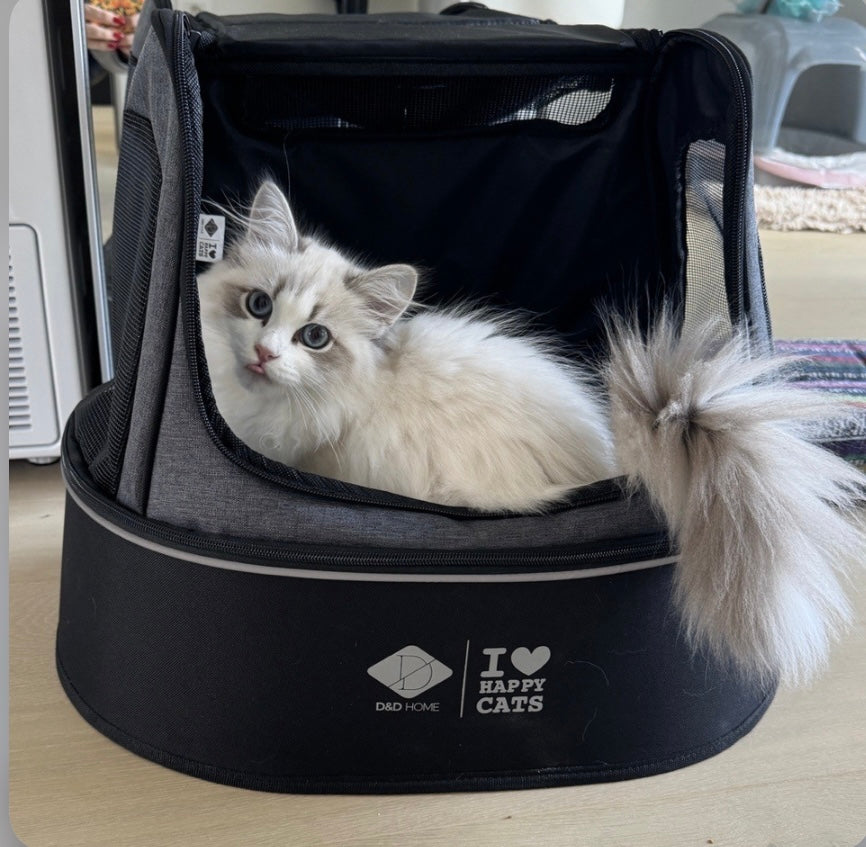 Phoebe multifunctionele kattentransporttas