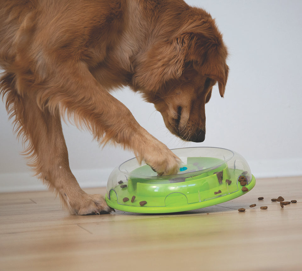 Puzzel Wobble Bowl (level 1)