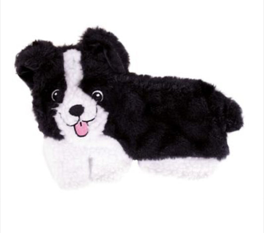 Puppy Home Border Collie