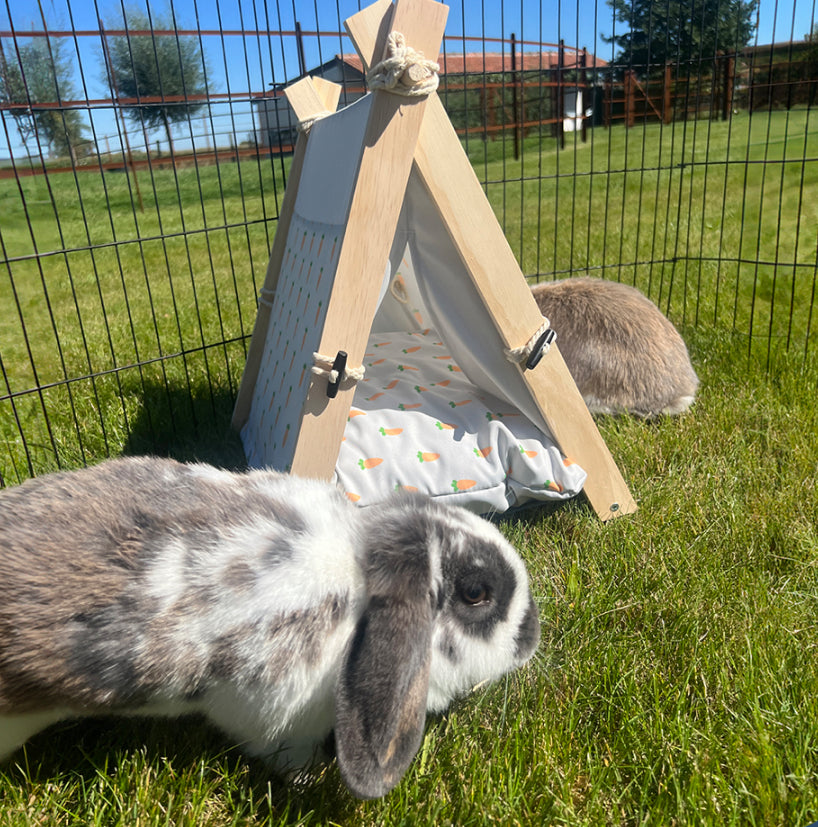 Wortel Tipi