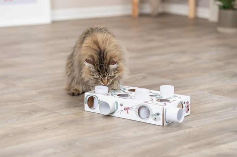 Cat Activity Paws'n'Treats Box