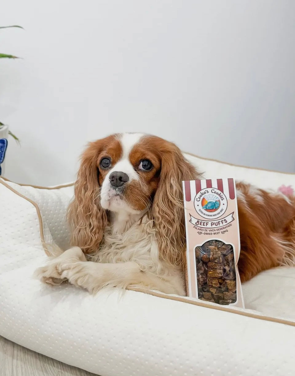 Beef Puffs (voor hond én kat)