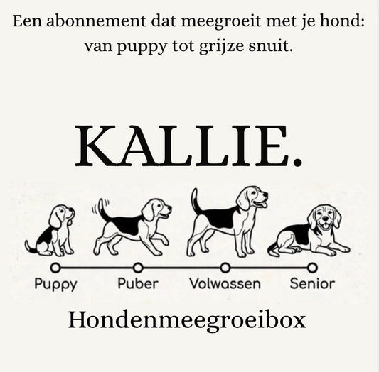 Hondenmeegroeibox (abonnement)