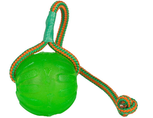 Swing ‘n Fling Chew bal (L)