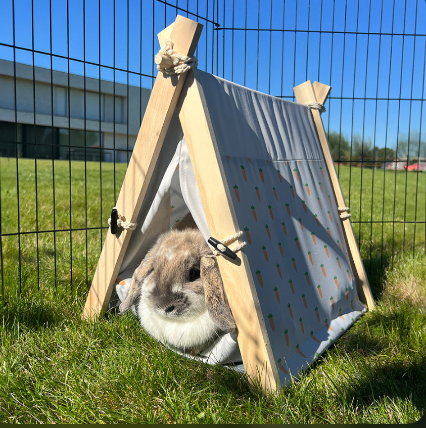 Wortel Tipi