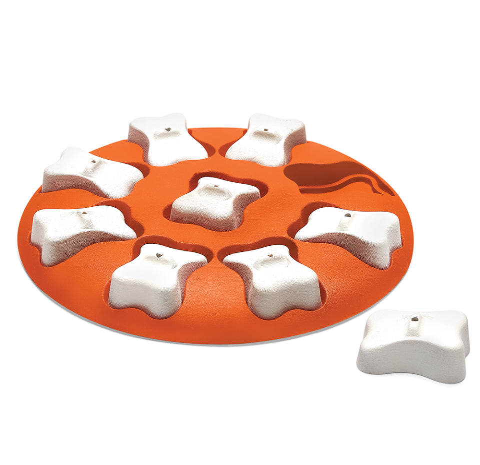 Puzzel Dog Smart (level 1)