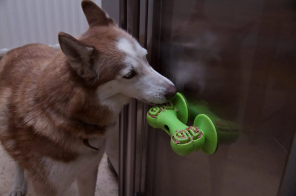 Chase ‘n Chomp Sticky Bone