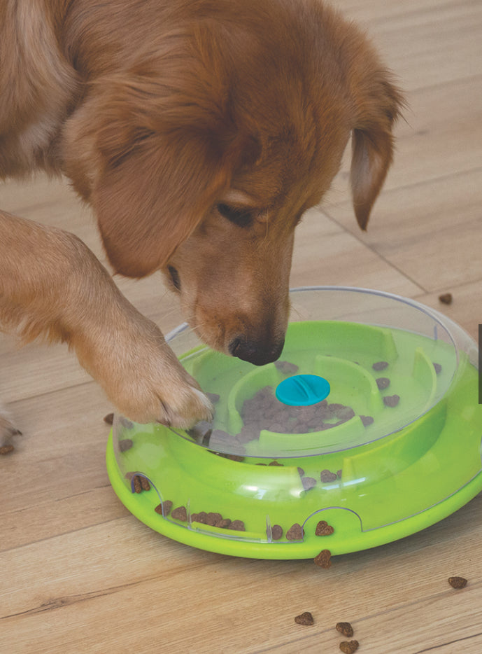 Puzzel Wobble Bowl (level 1)