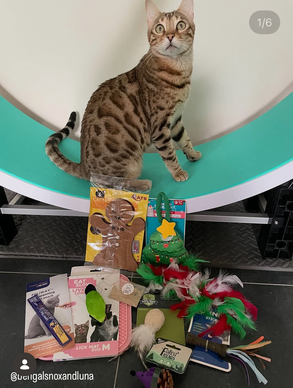 Eenmalige kerst-Binnenkattenbox (pre-order)