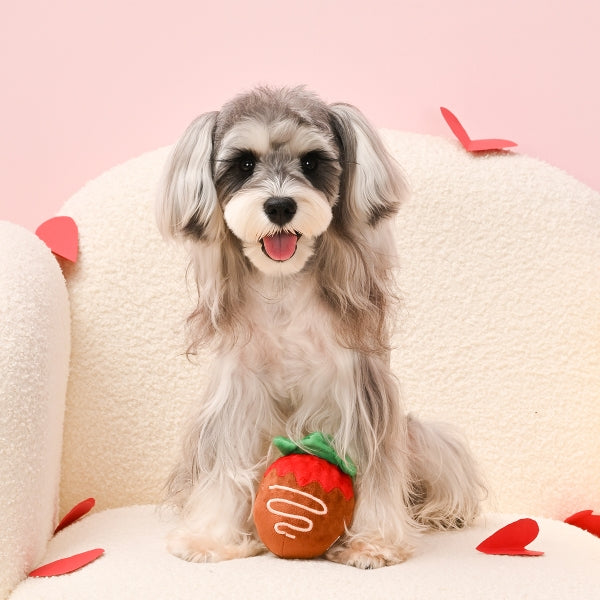 Woof Love - Strawberry Chocolate bal