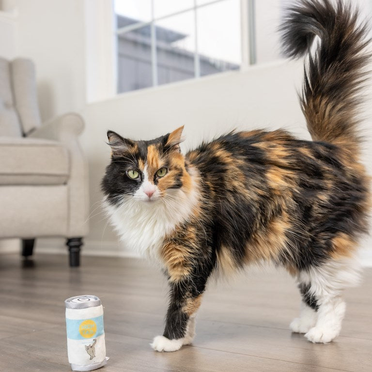 Kittybelles High Tail