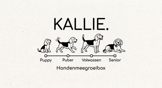 Hondenmeegroeibox (abonnement)