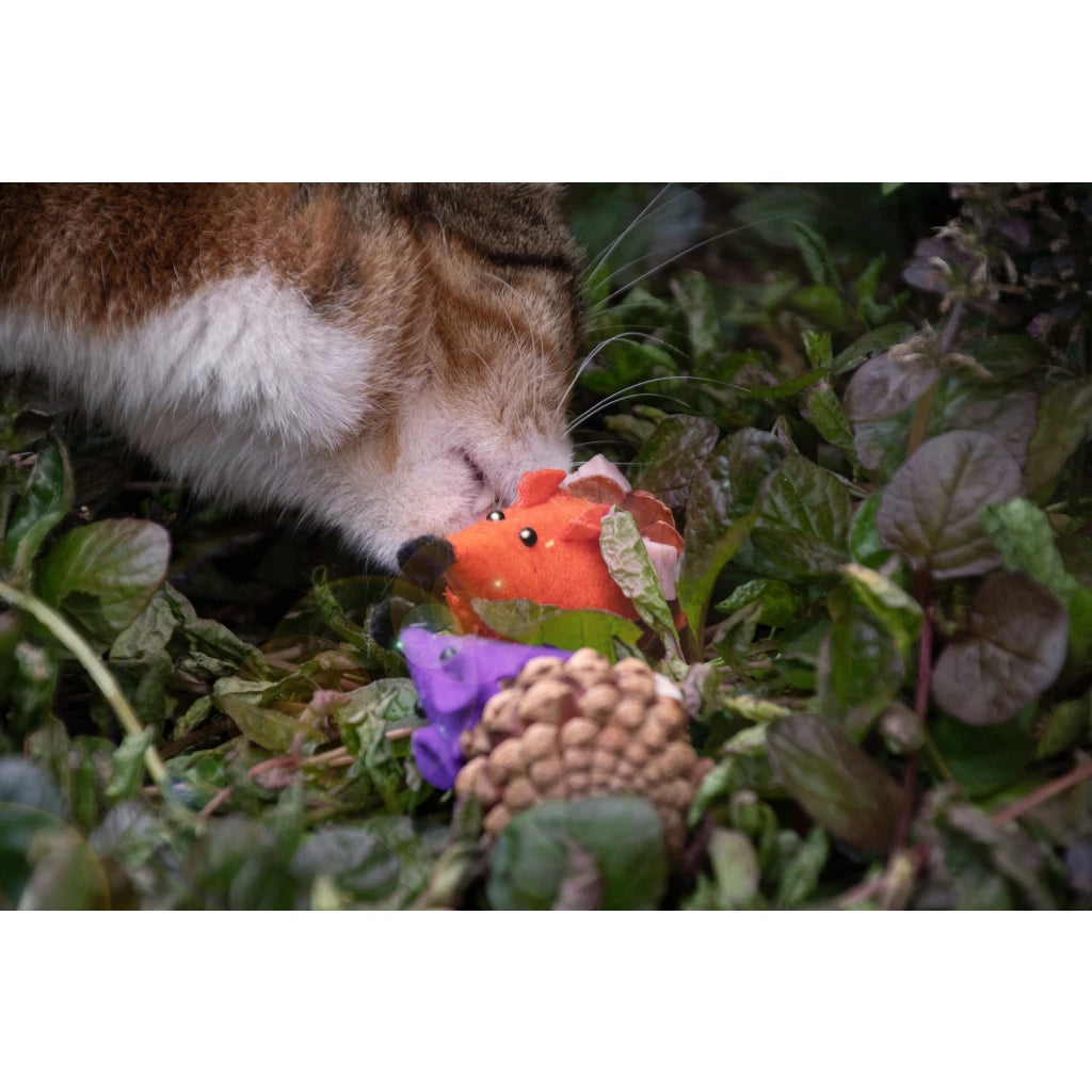 Forest Friends (oranje)