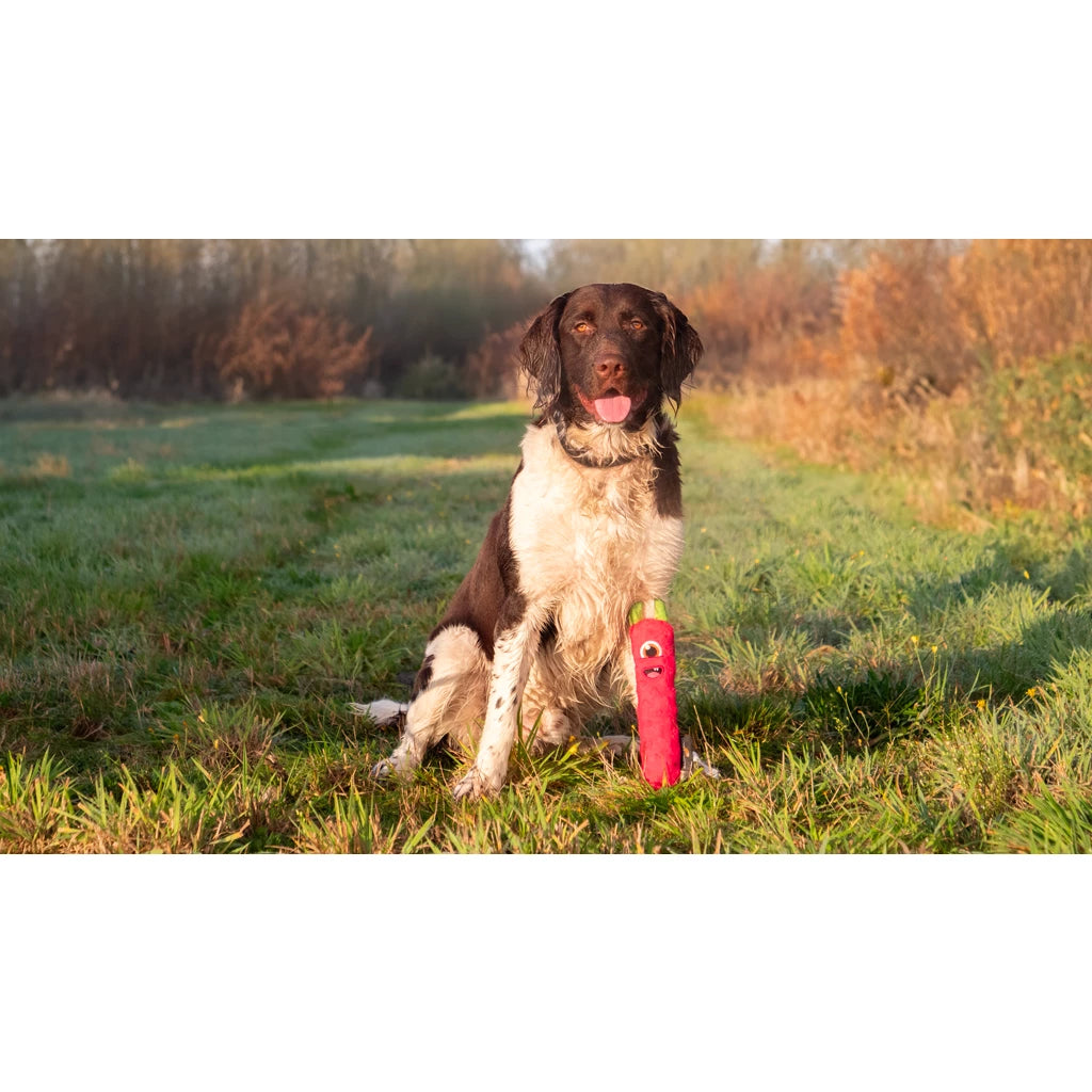 Dog Comets Invader M - Roze
