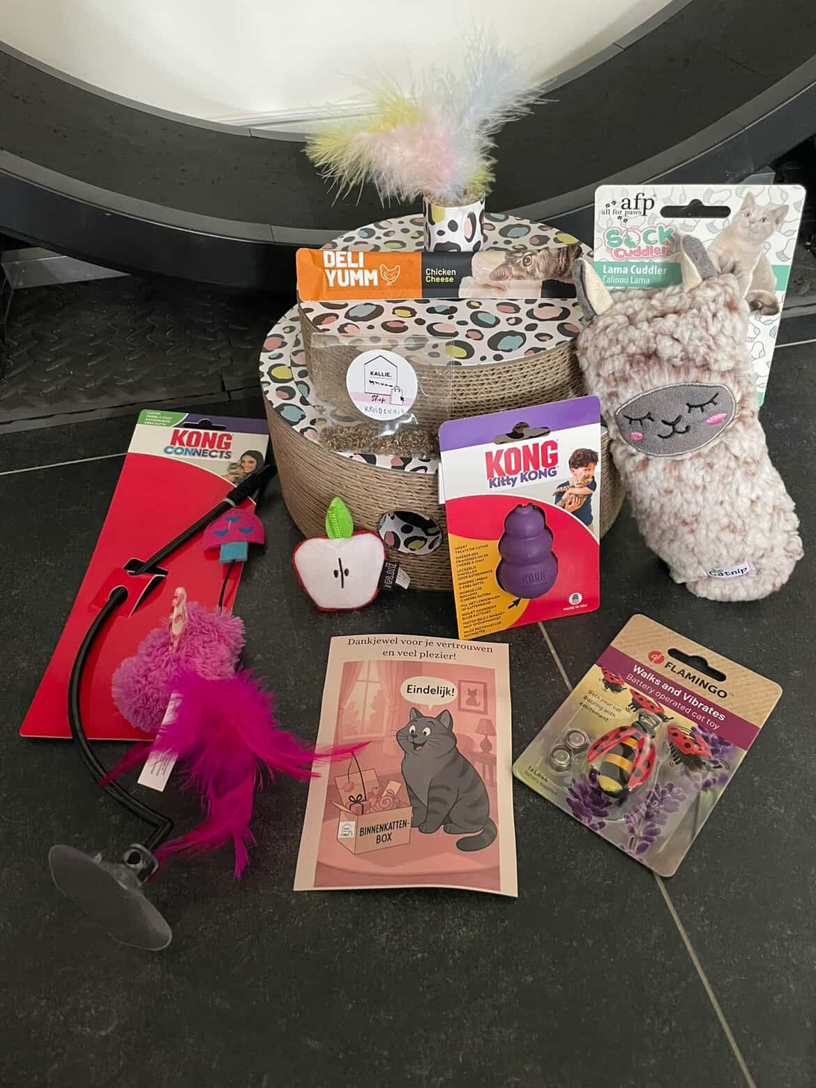 Binnenkattenbox (abonnement)