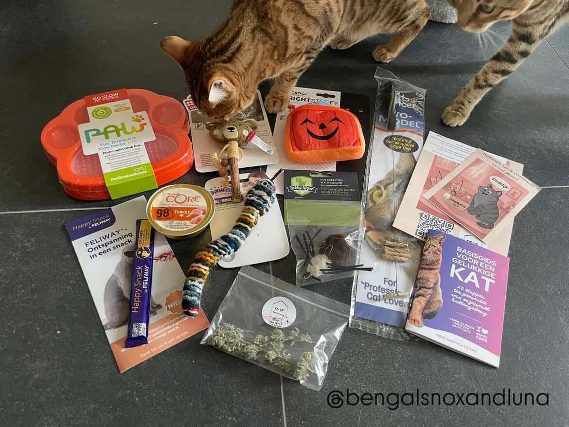 Binnenkattenbox (abonnement)