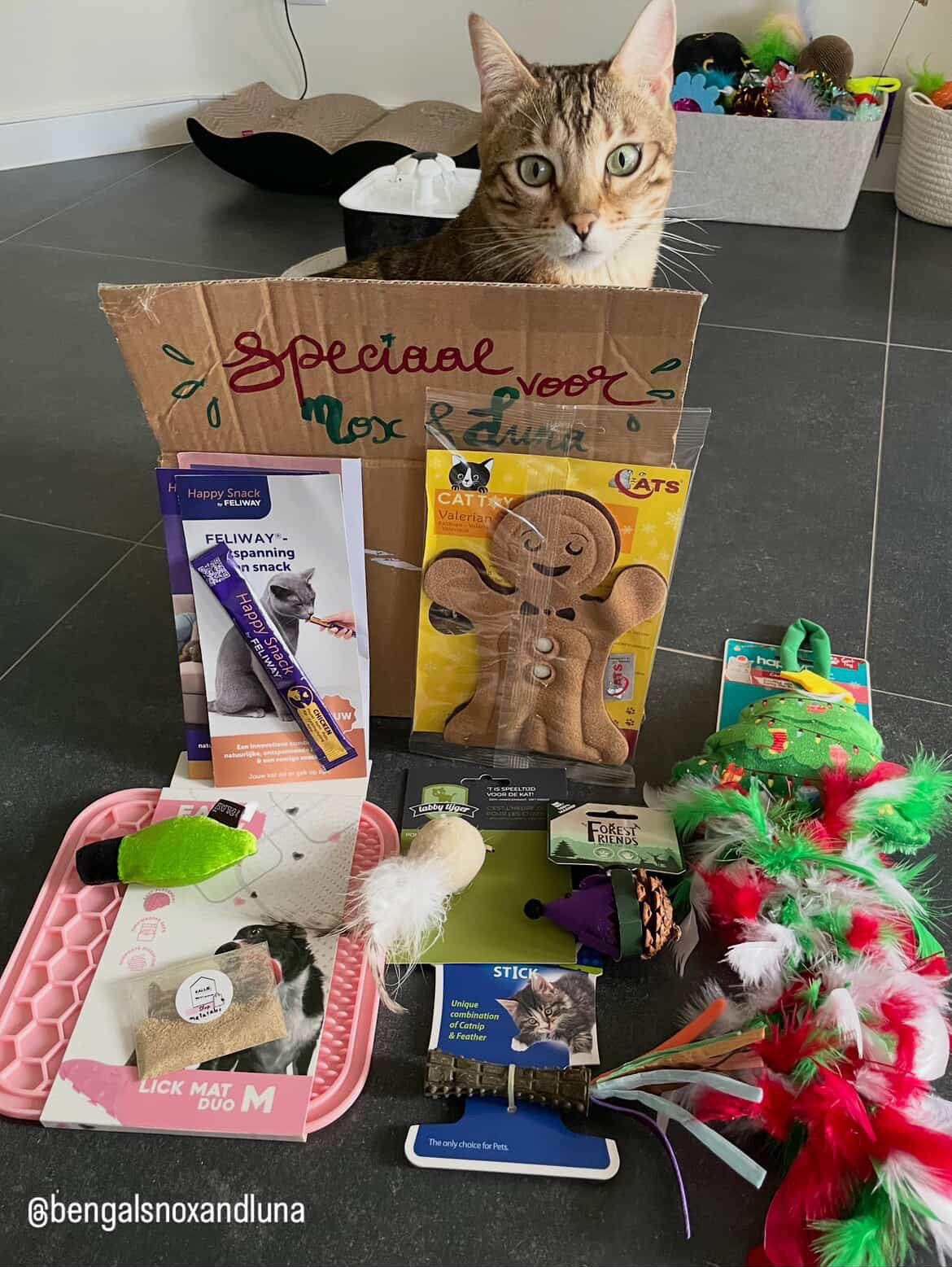 Binnenkattenbox (abonnement)