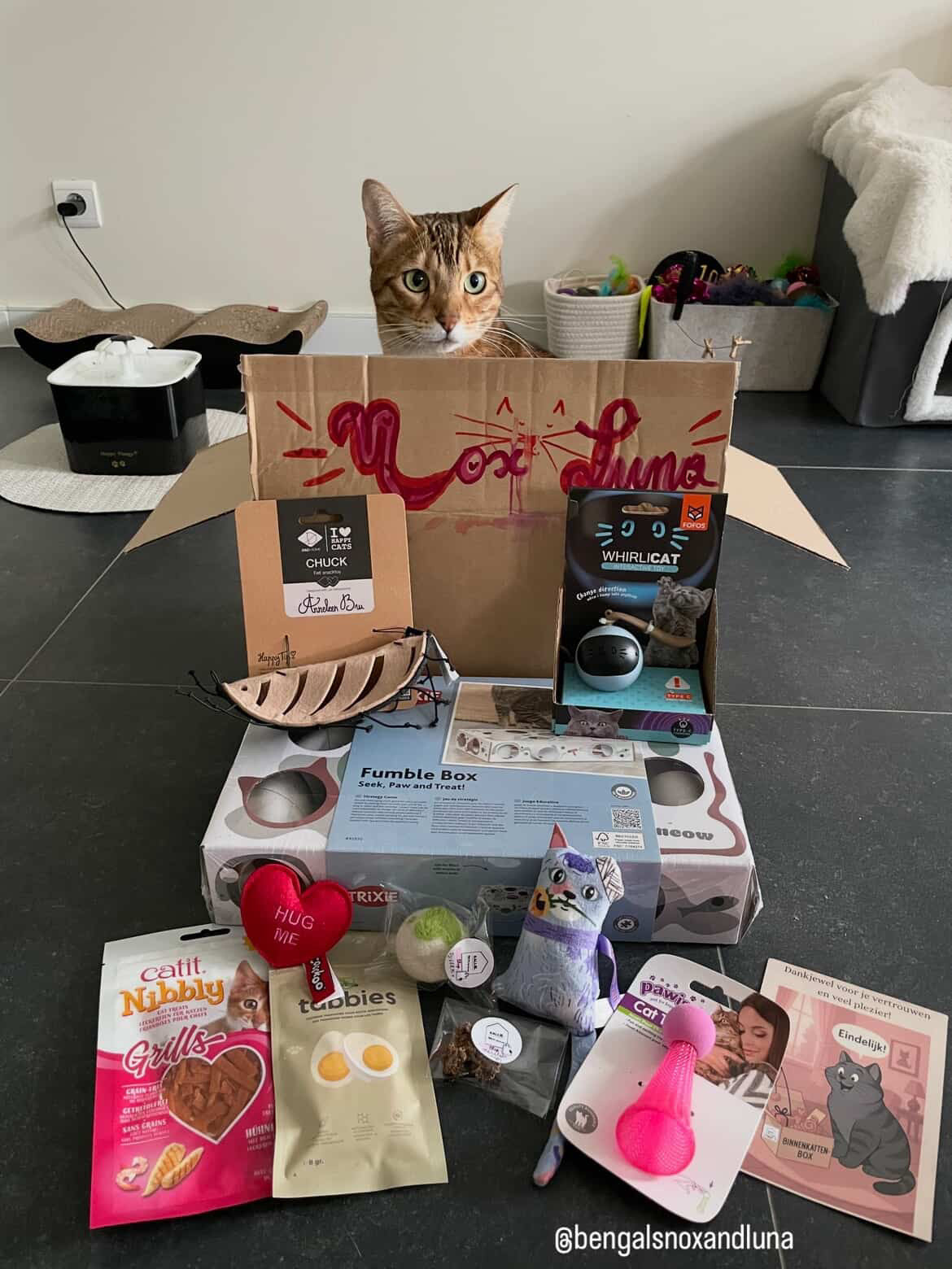 Binnenkattenbox (abonnement)