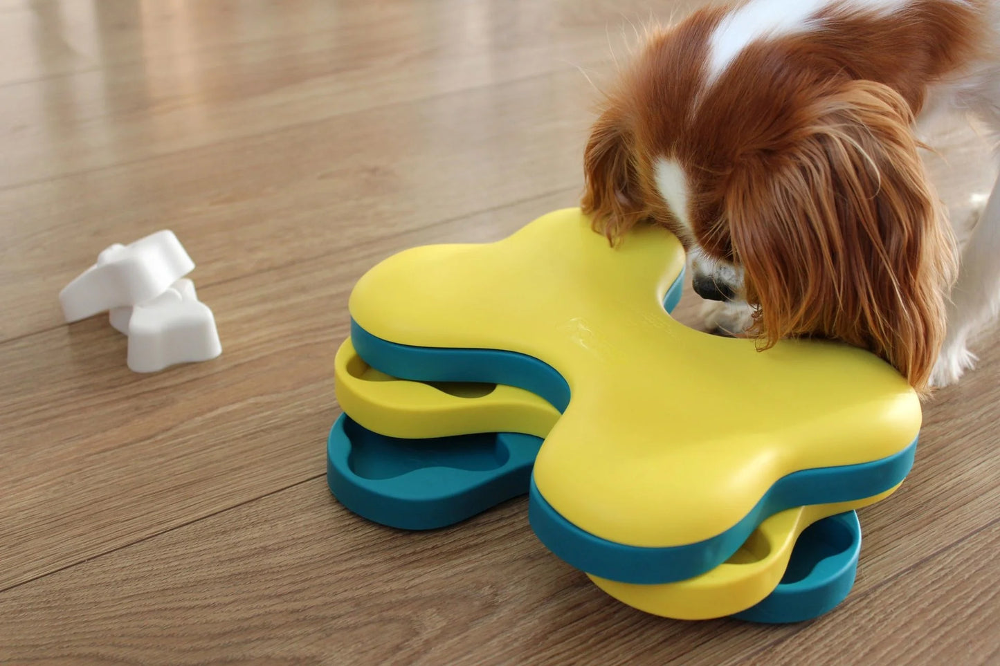 Puzzel Dog Tornado (level 2)