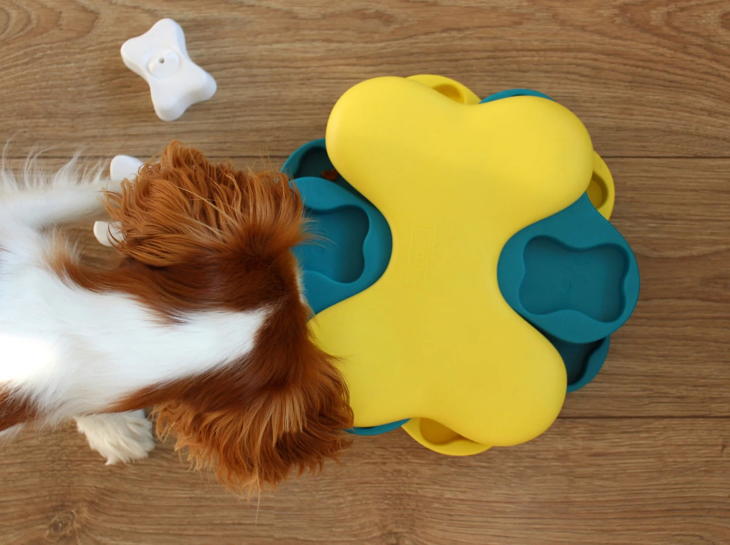 Puzzel Dog Tornado (level 2)