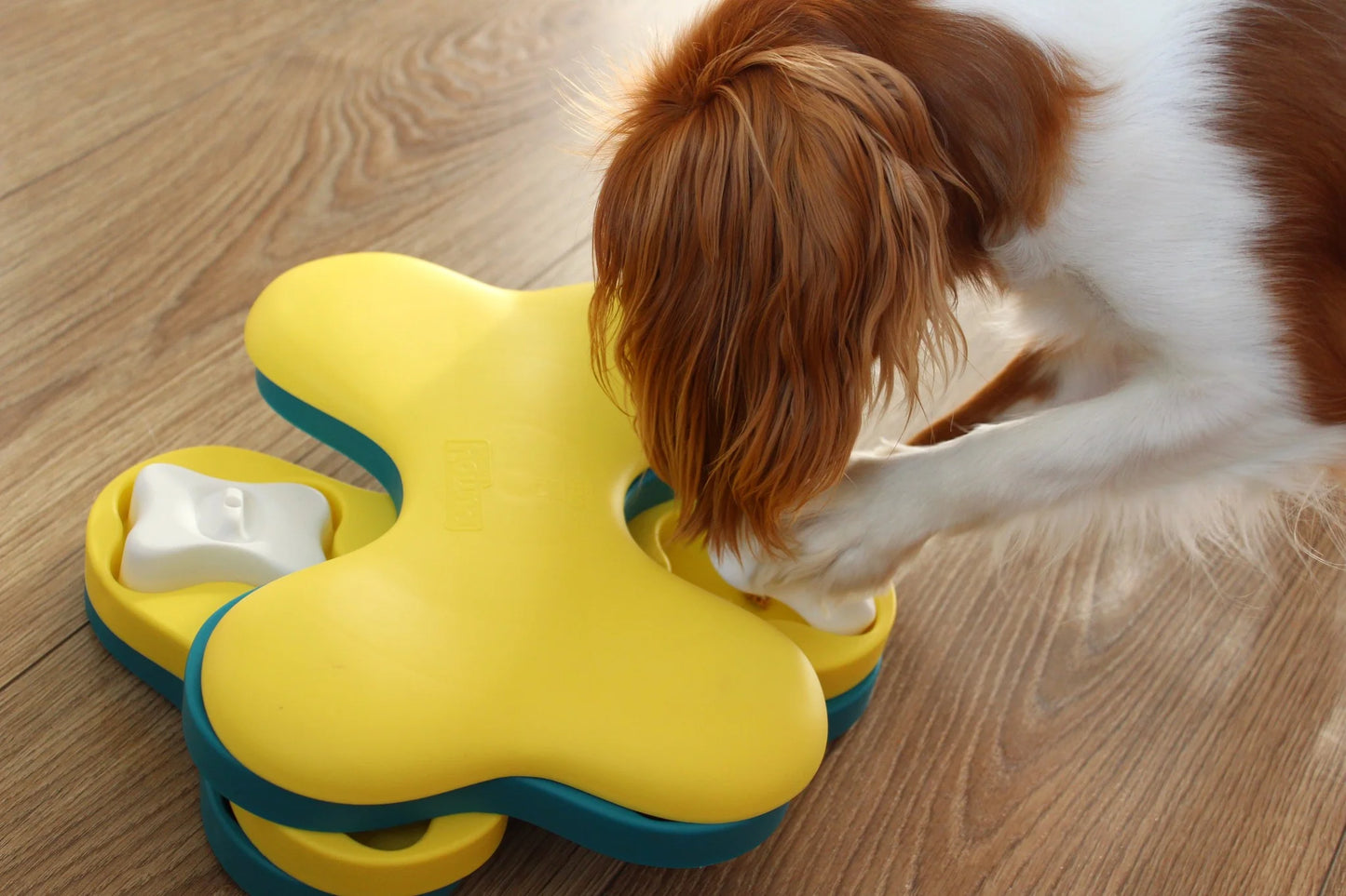 Puzzel Dog Tornado (level 2)