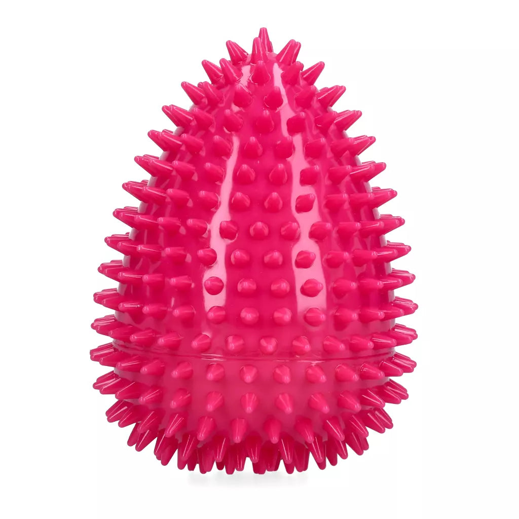 Dog Comets Cosmic Egg Roze
