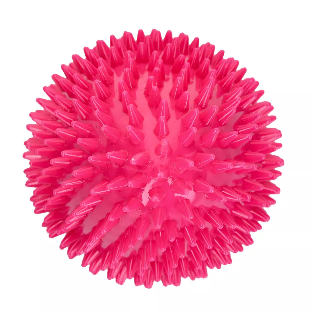 Dog Comets Cosmic Egg Roze