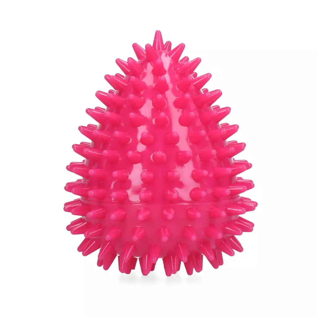 Dog Comets Cosmic Egg Roze