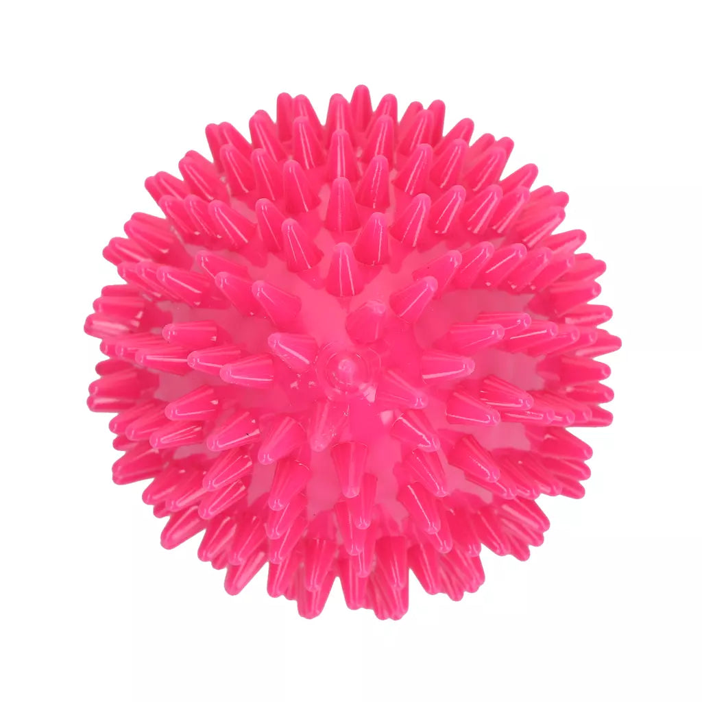 Dog Comets Cosmic Egg Roze