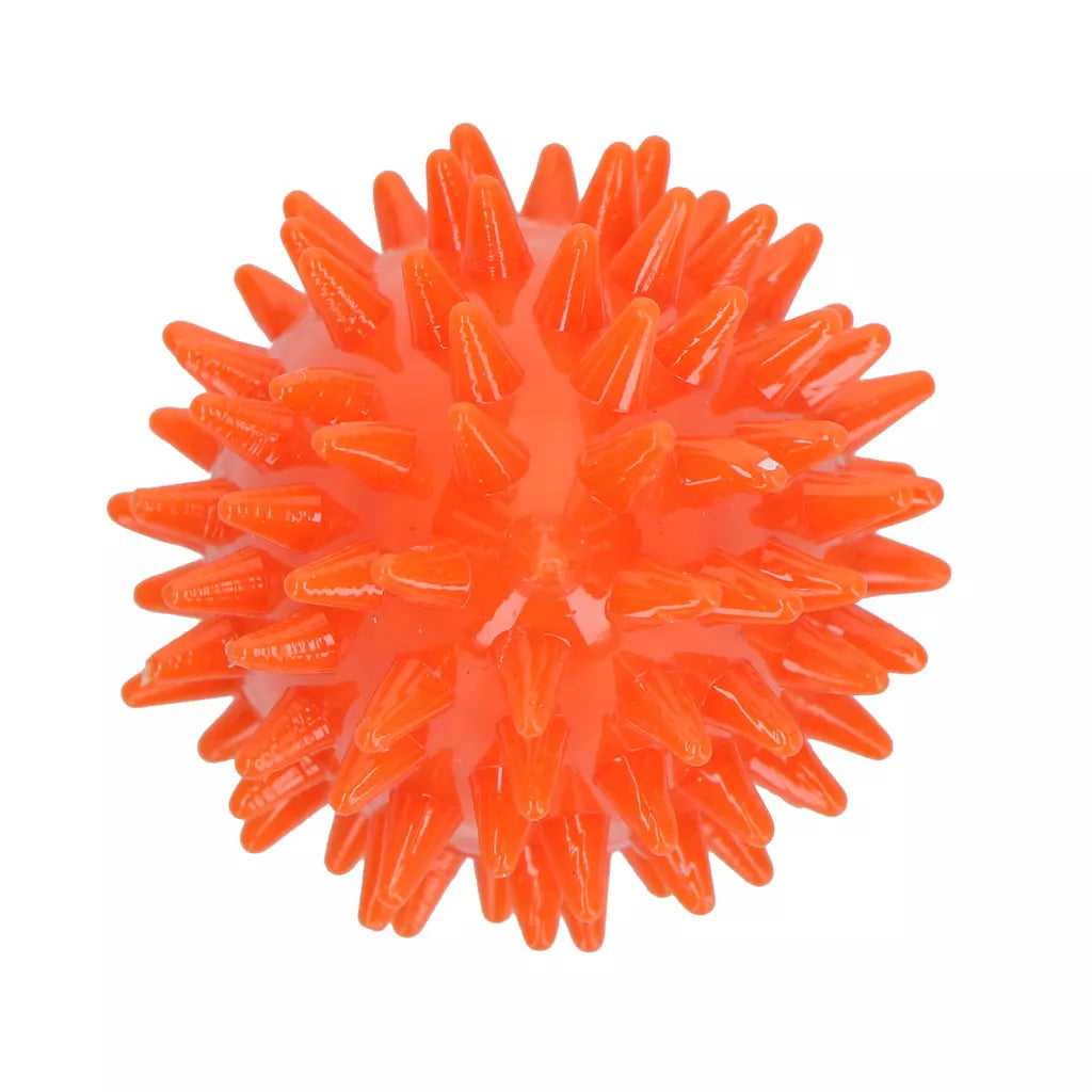 Dog Comets Cosmic Egg Oranje