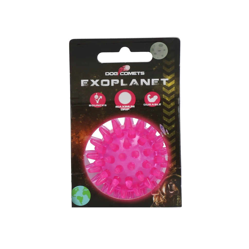 Dog Comets Egelbal met pieper roze