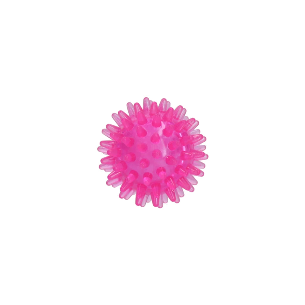 Dog Comets Egelbal met pieper roze
