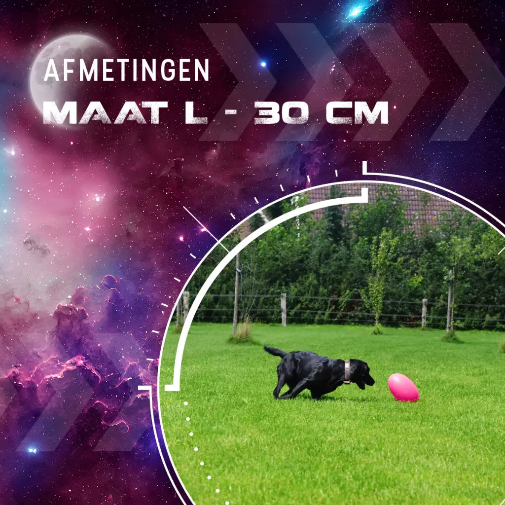 Dog Comets Pan-Stars Roze