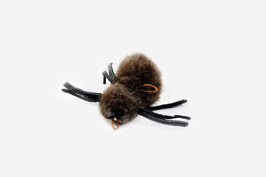 Buffalo spinnetje