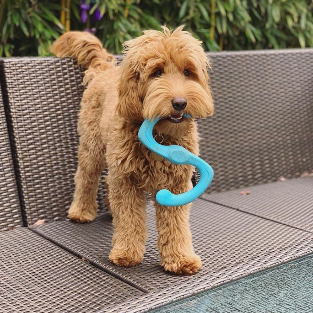 West Paw Zogoflex Bumi