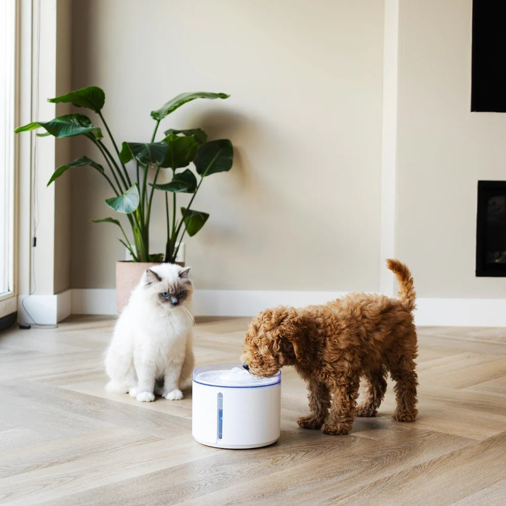 FLOW draadloze drinkfontein - wit