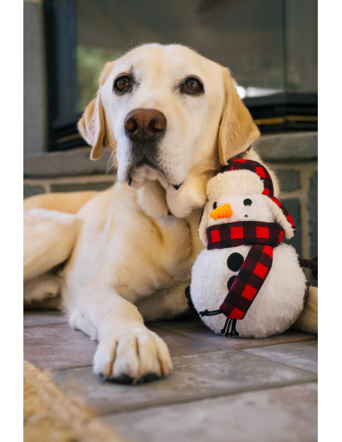 Home for the Holidays - Sneeuwman