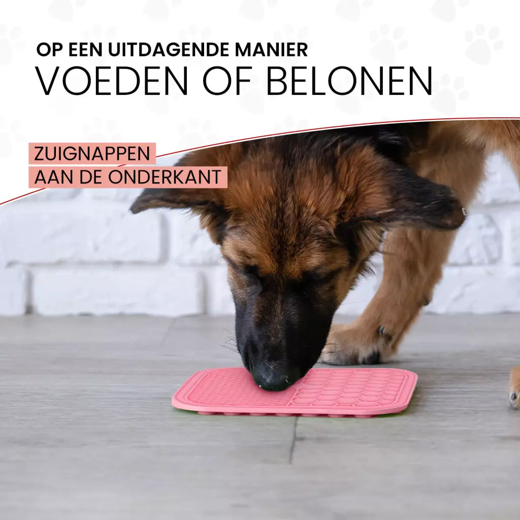 Eat Slow Live Longer likmat duo - Large